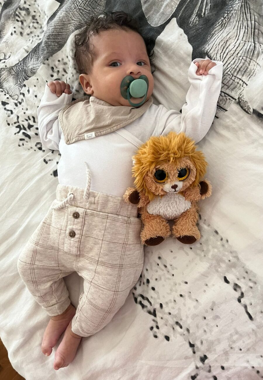 cc4dbcd9-35a9-4af6-9d28-43a911758378